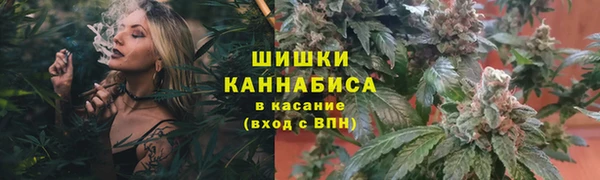 PSILOCYBIN Волоколамск