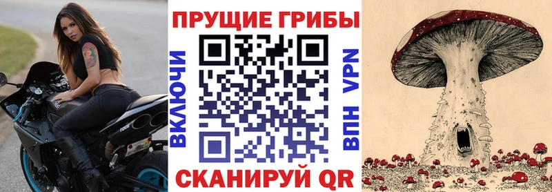 Галлюциногенные грибы Psilocybine cubensis  Купить закладки  Лобня 